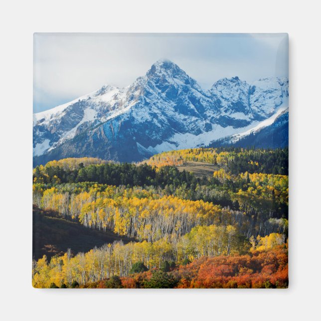 Snowy Mountain & Trees Magnet (Front)