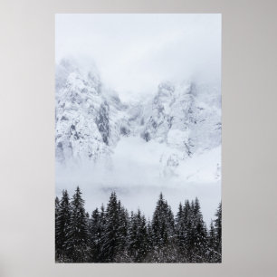 Snowy mountains and spruce forest poster
