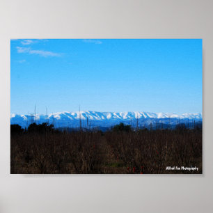 Snowy Mountains Behind Persimmon Field Poster