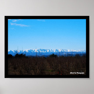 Snowy Mountains Behind Persimmon Field Poster