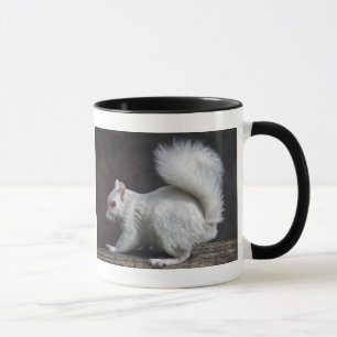 Snowy Mug