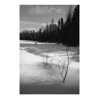 Snowy North Forest Photo Print