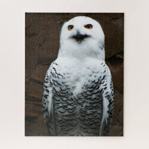 Snowy Owl 16x20 520pc jpcna Jigsaw Puzzle