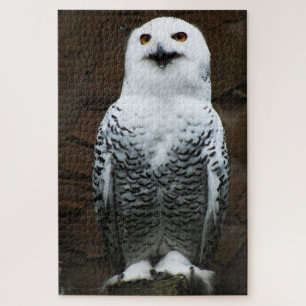 Snowy Owl 20x30 1014pc jpcna Jigsaw Puzzle
