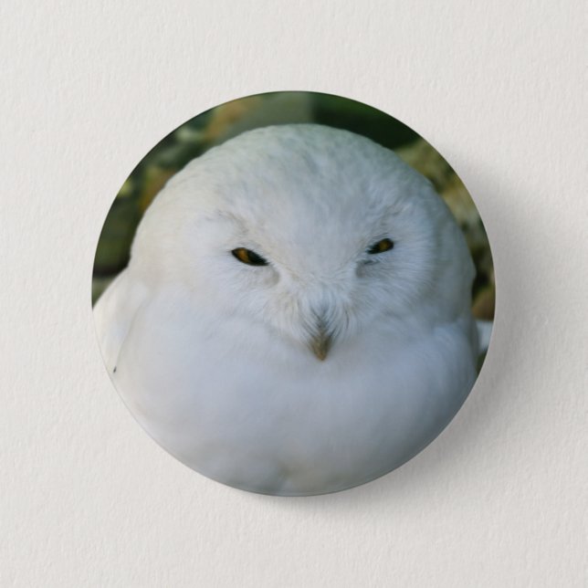 Snowy Owl 6 Cm Round Badge (Front)