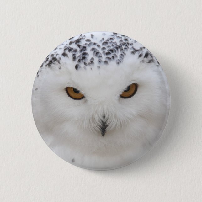 Snowy Owl 6 Cm Round Badge (Front)