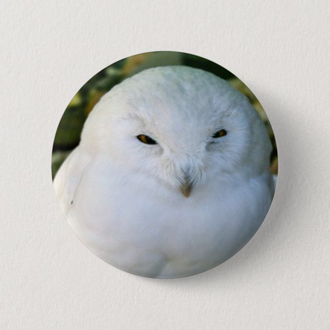 Snowy Owl 6 Cm Round Badge (Front)
