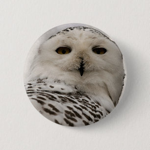 snowy owl 6 cm round badge