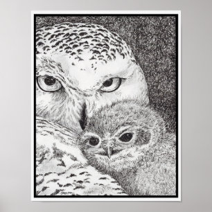 Snowy Owl and Baby Owl Poster