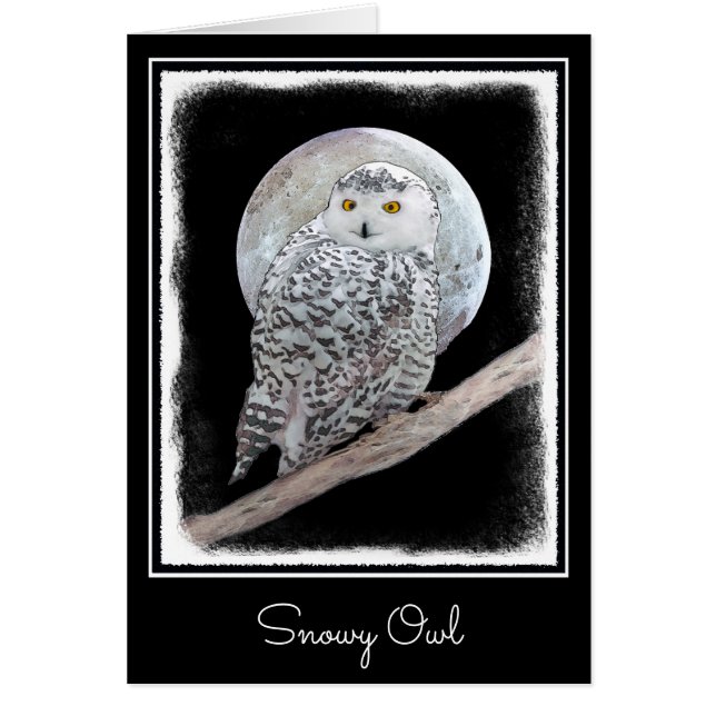 Snowy Owl and Moon Painting - Original Bird Art (Front)