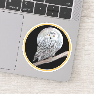 Snowy Owl and Moon Painting - Original Bird Art