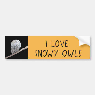 Snowy Owl and Moon Painting - Original Bird Art Bumper Sticker