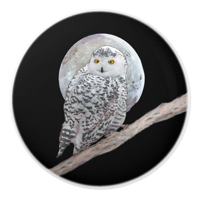 Snowy Owl and Moon Painting - Original Bird Art Ceramic Knob (Front)
