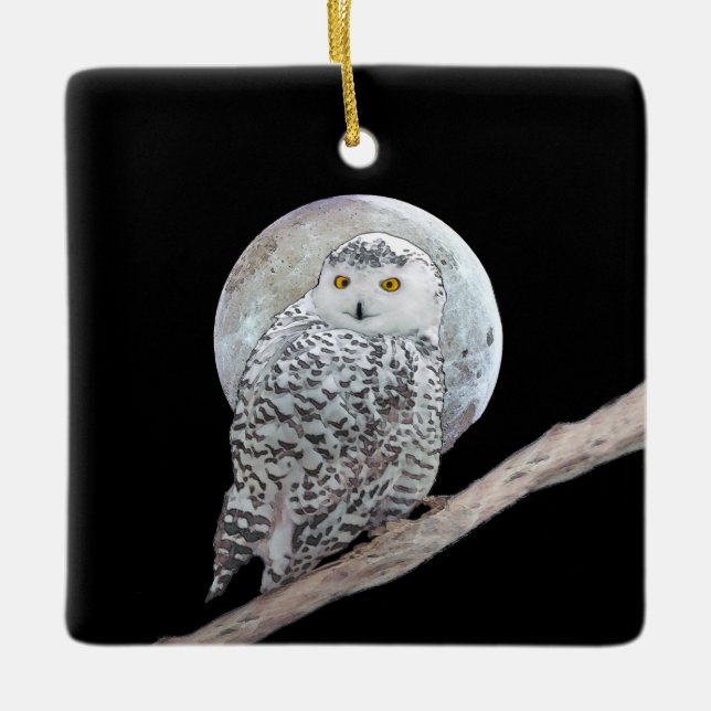 Snowy Owl and Moon Painting - Original Bird Art Ceramic Ornament (Front)