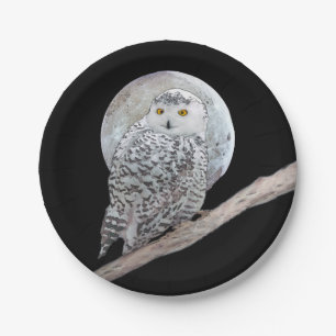 Snowy Owl and Moon Painting - Original Bird Art Paper Plate