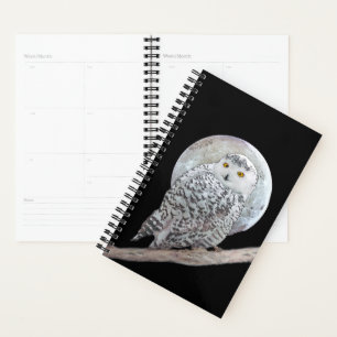Snowy Owl and Moon Painting - Original Bird Art Planner
