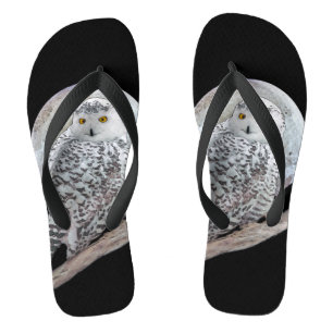 Snowy Owl and Moon Painting - Original Bird Art Thongs