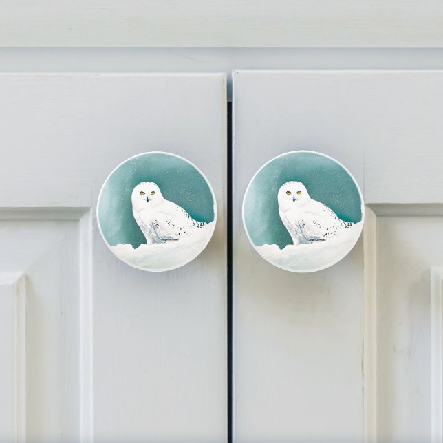 Snowy Owl Arctic Winter Sky Snow Teal Ceramic Knob (Creator Uploaded)