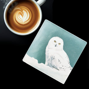 Snowy Owl Arctic Winter Sky Snow Teal Glass Coaster
