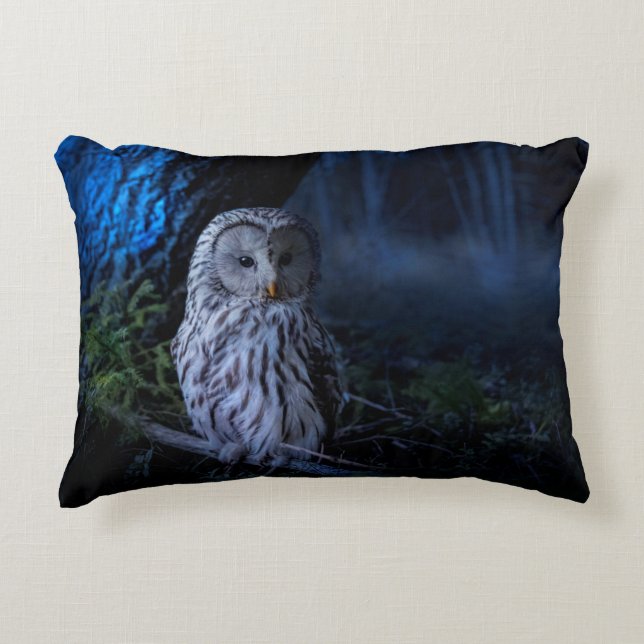 Snowy Owl at Night Decorative Cushion (Front)