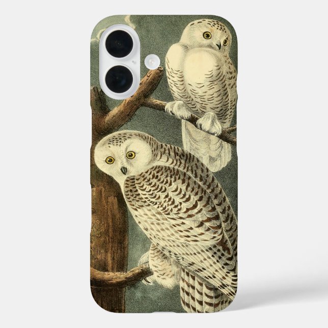 Snowy Owl Audubon Bird Artwork Case-Mate iPhone Case (Back)