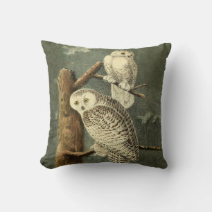 Snowy Owl Audubon Bird Artwork Cushion