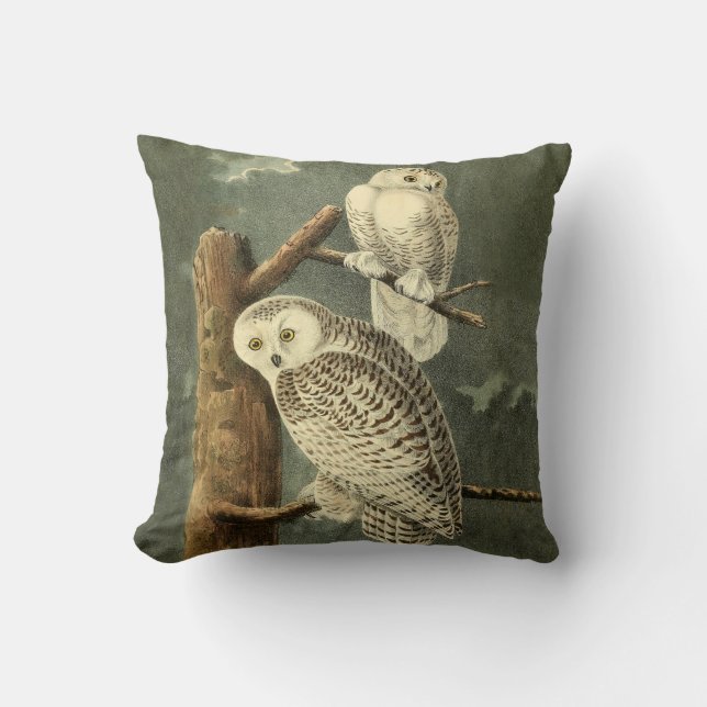 Snowy Owl Audubon Bird Artwork Cushion (Front)