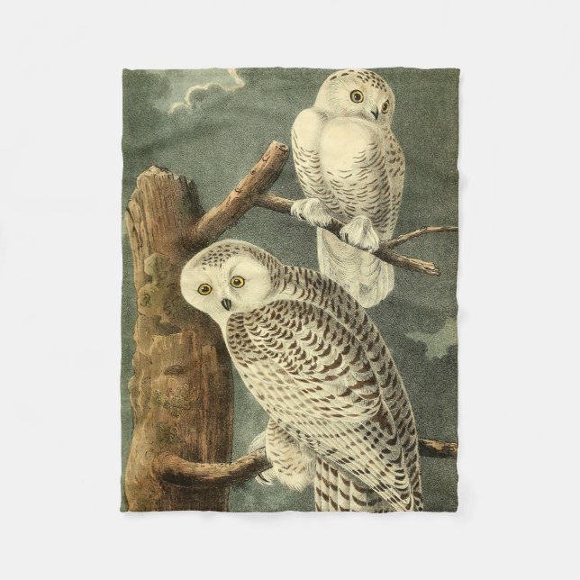 Snowy Owl Audubon Bird Artwork Fleece Blanket (Front)