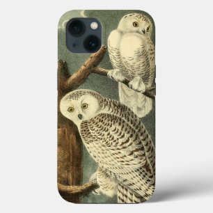 Snowy Owl Audubon Bird Artwork iPhone Case