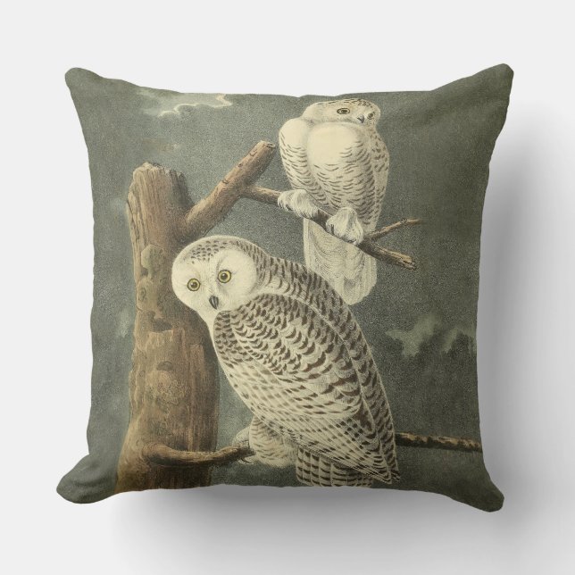 Snowy Owl Audubon Bird Artwork Outdoor Cushion (Front)