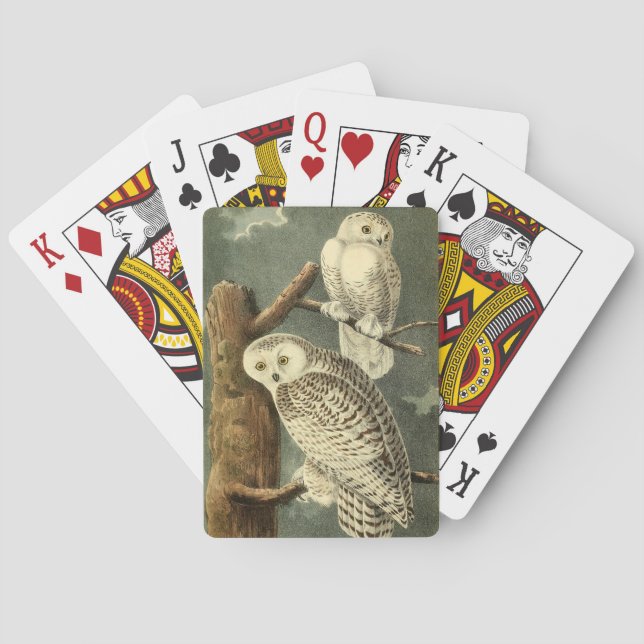 Snowy Owl Audubon Bird Artwork Playing Cards (Back)