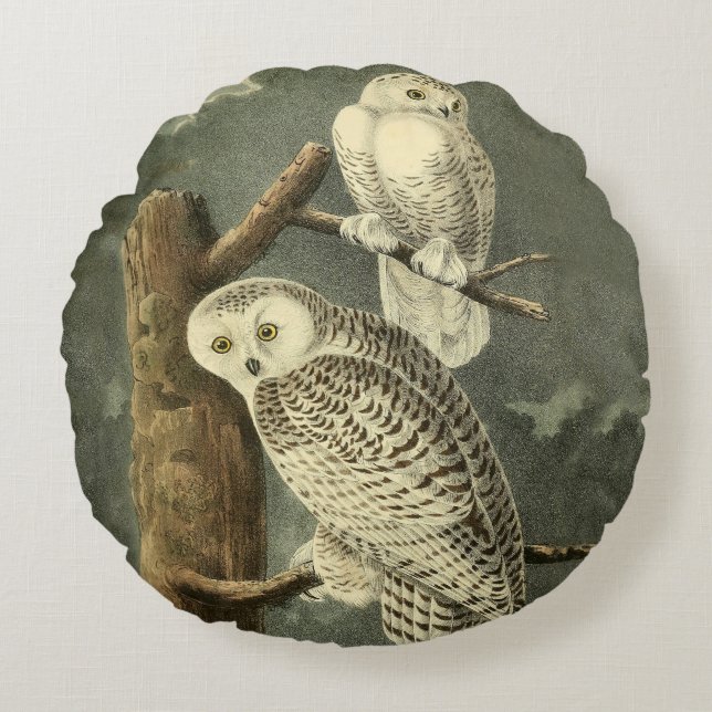 Snowy Owl Audubon Bird Artwork Round Cushion (Front)