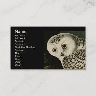 Snowy Owl - Audubon Fine Vintage Birds America Business Card
