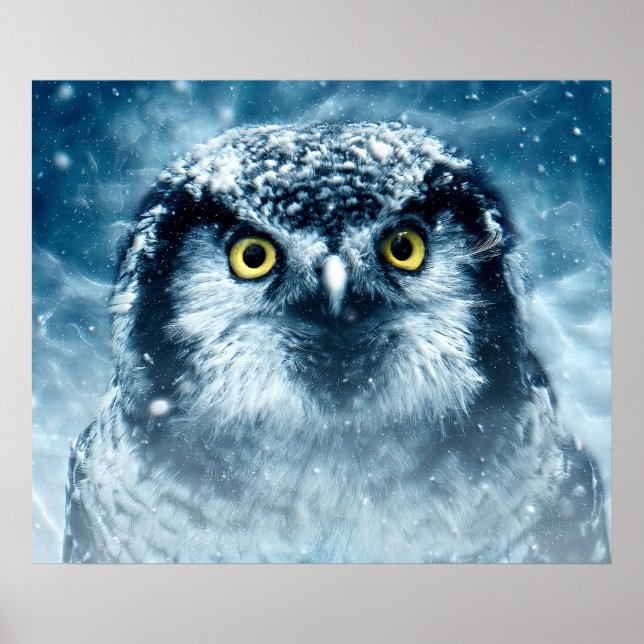 Snowy Owl Big Eyes Poster (Front)