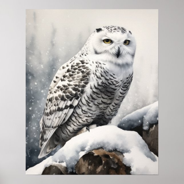 Snowy Owl Bird Art Print Poster (Front)