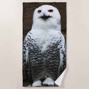 Snowy Owl btm Beach Towel