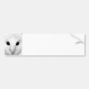 Snowy Owl Bumper Sticker