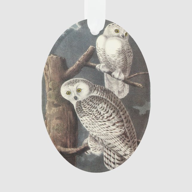 Snowy Owl by Audubon Ornament (Front)