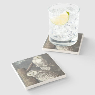 Snowy Owl by Audubon Stone Coaster