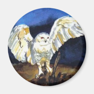 Snowy Owl by Paula Atwell Magnet