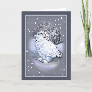 Snowy Owl Card