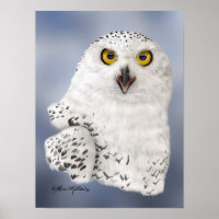 Snowy Owl Caricature