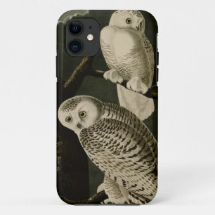 Snowy Owl iPhone 11 Case