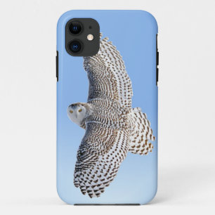 Snowy Owl iPhone 11 Case