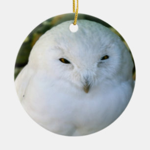Snowy Owl Ceramic Ornament