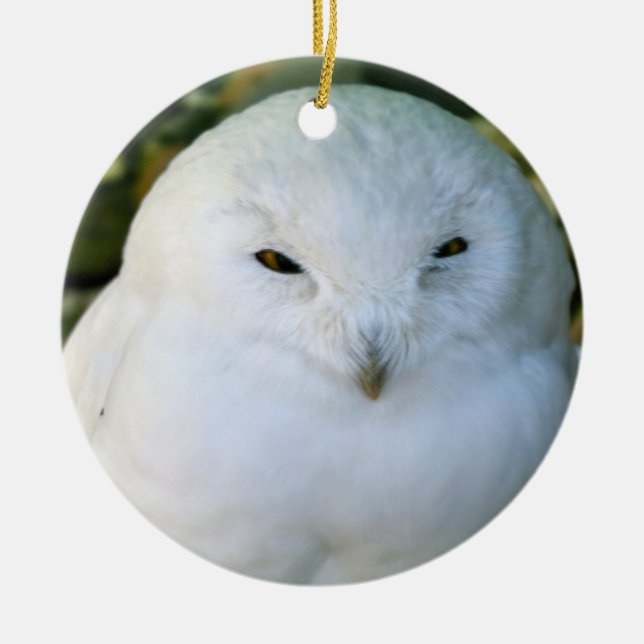 Snowy Owl Ceramic Ornament (Front)
