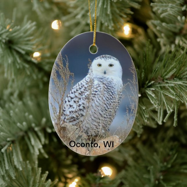 Snowy Owl Ceramic Ornament (Tree)