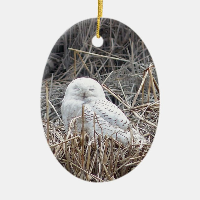 snowy owl ceramic ornament (Front)
