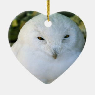 Snowy Owl Ceramic Ornament