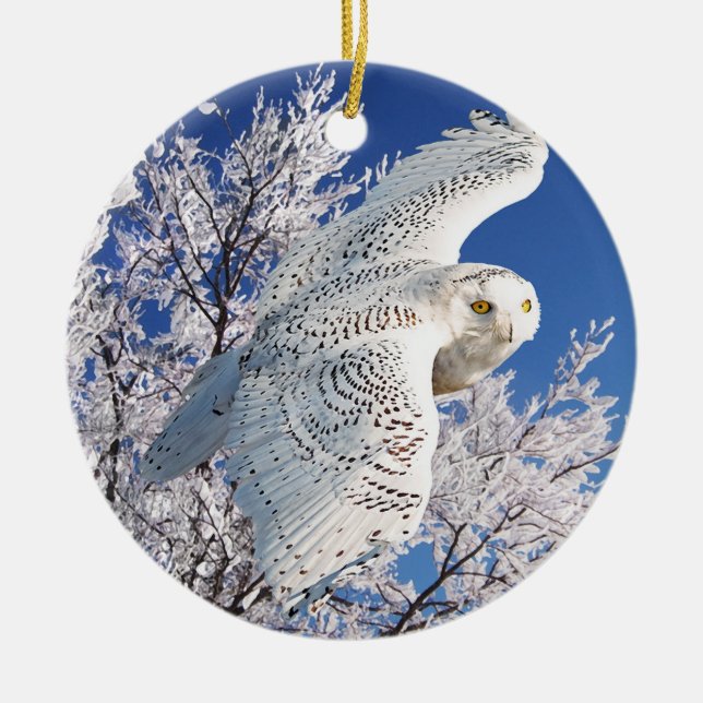 "Snowy Owl" Ceramic Ornament (Front)
